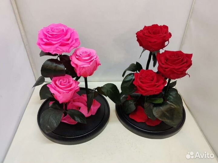 Роза в колбе оптом