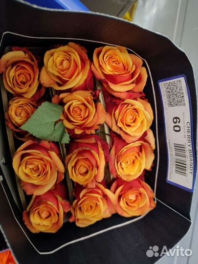 Роза цветы букеты