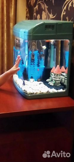 Аквариум jebo