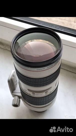Canon EF 70-200mm f/2.8L USM