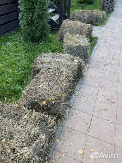 Сено в тюках