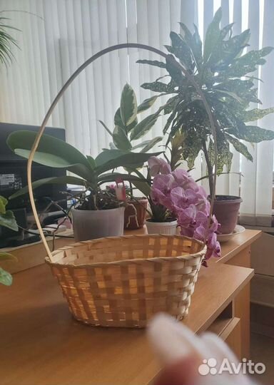 Корзина плетеная, пасха