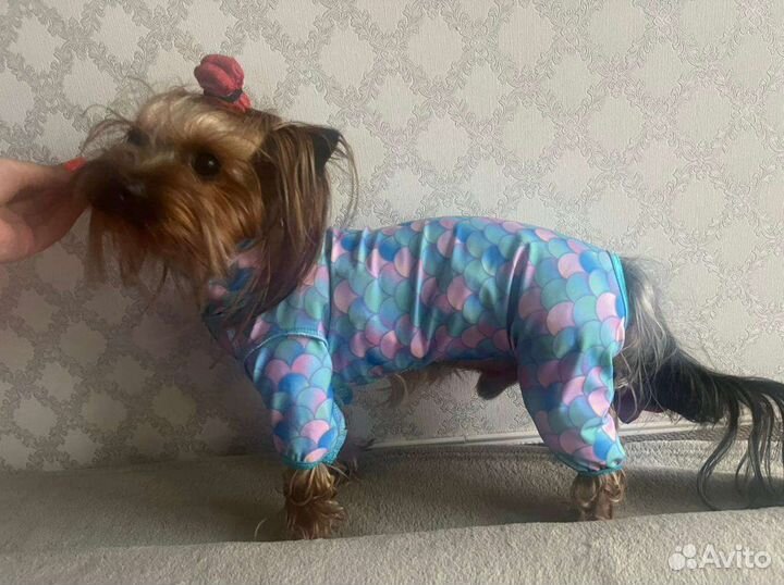 Комбинезоны халаты на папильотки,пыльники