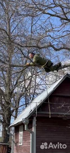 Спилить дерево, спил деревьев, срубить, расчистка