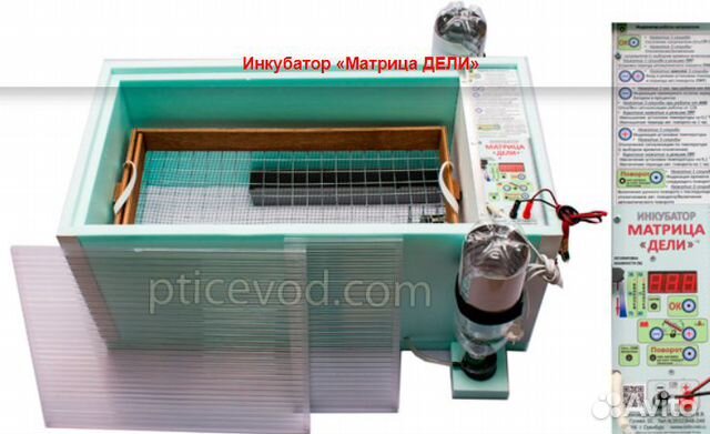 Инкубатор 