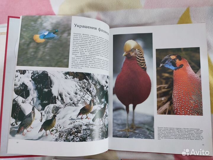 Детские книги пакетом