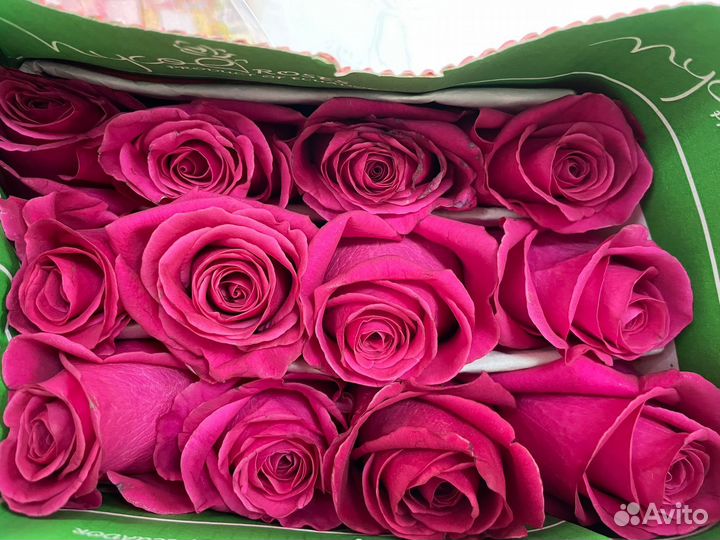 Розы Эквадор от 1 коробки под заказ от 500 шт