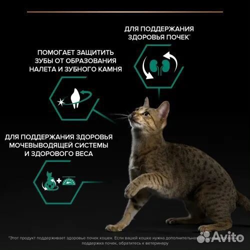 Корм для кошек Про План Purina Pro Plan