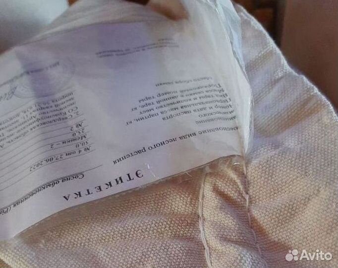 Семена ели от производителя