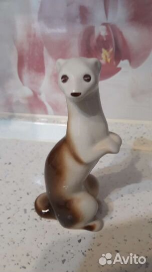 Ласка куница соболь фарфор