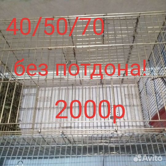 Клетки маленькие.клетки большие с потдонам