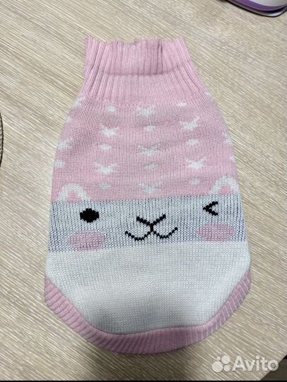 Одежда для собак