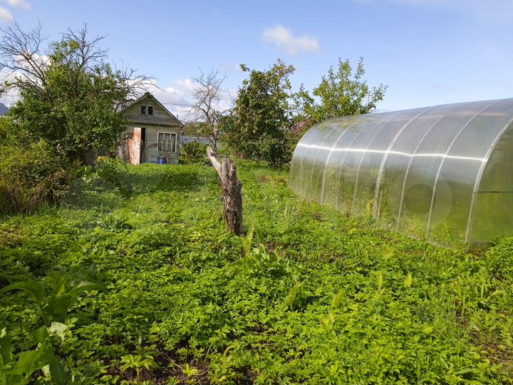 Участок 4,5 сот. (СНТ, ДНП)