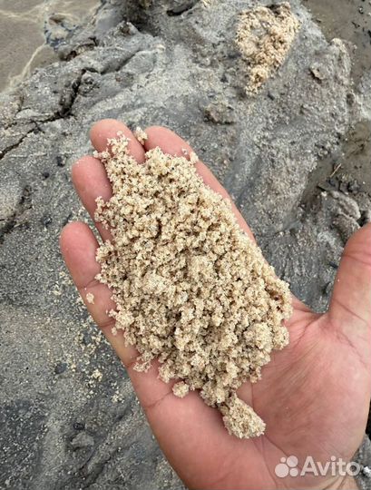 Песко соль