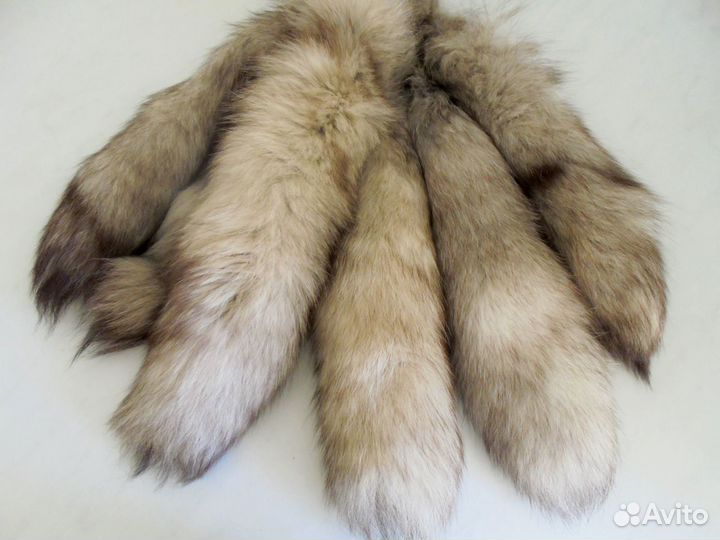 Хвосты песцовые