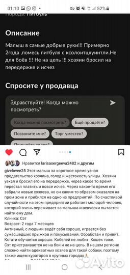 Собака в добрые руки