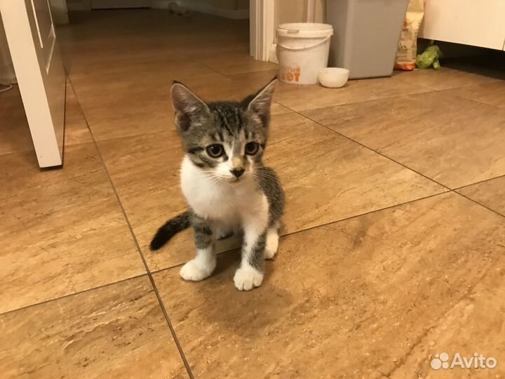 Милая девочка