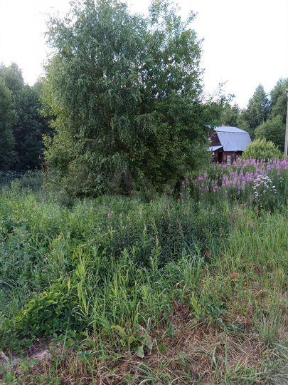 Участок 15 сот. (ИЖС)