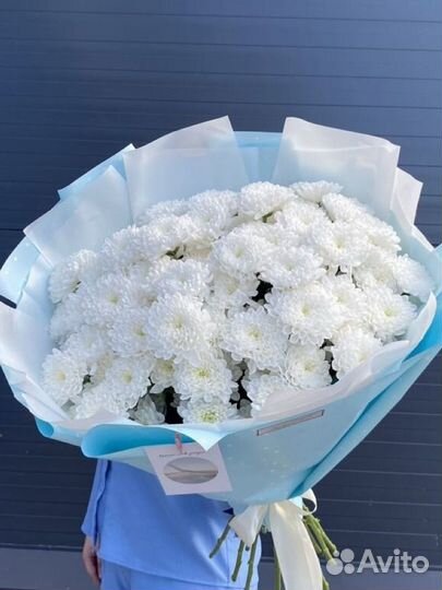 Букет махровых хризантем