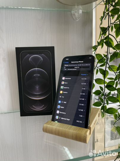 iPhone 12 Pro, 256 ГБ