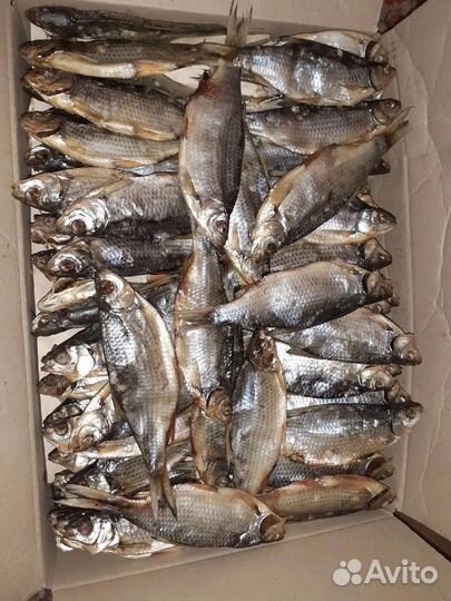 Цимлянский Лещ вяленый и х/к на заказ