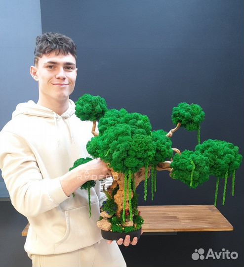 Дерево Бонсай стабилизированный мох ручная работа