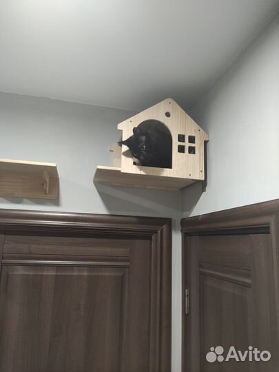 Игровой комплекс для кошек на стену