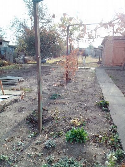 Дом 100 м² на участке 1 сот.