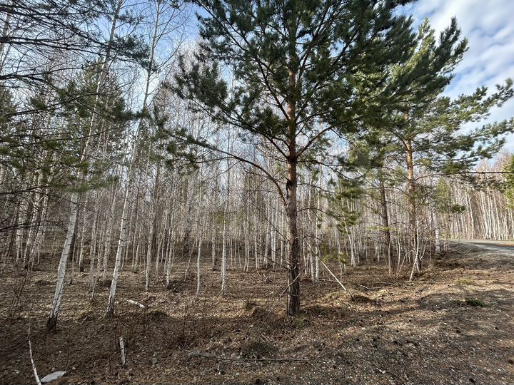 Участок 7 сот. (ИЖС)