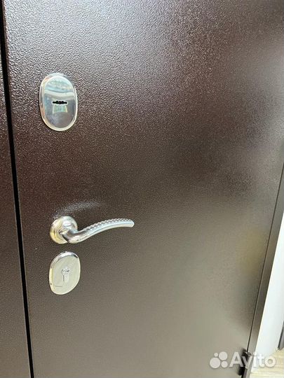 Входные металлические двери