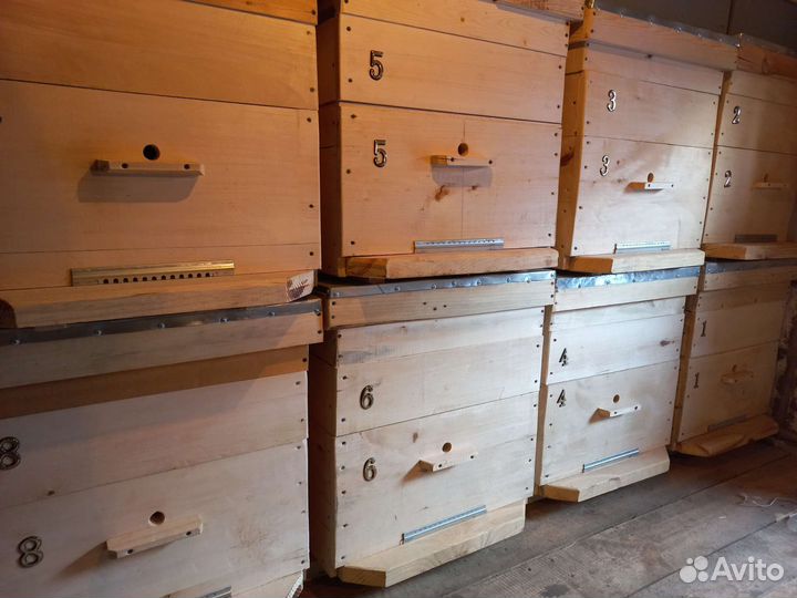 Улей для пчёл