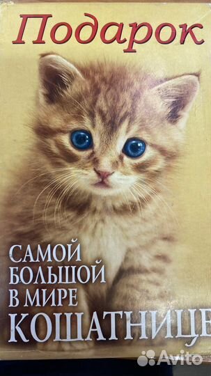 Книги набор кошки