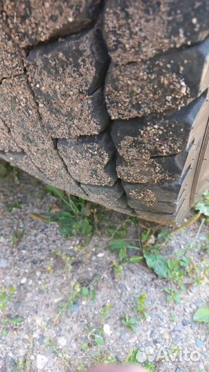 Renault Premium, 2020