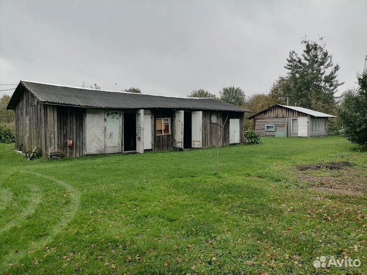 Недвижимость