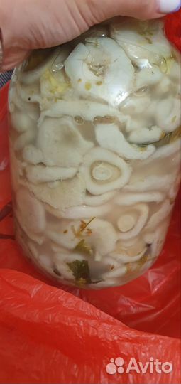 Грибы грузди соленые очень вкусны Чарышские грибы