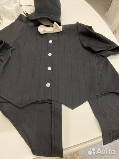 Одежда для выставки собаки