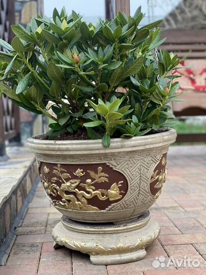 Горшки для цветов оптом