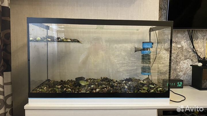 Аквариум