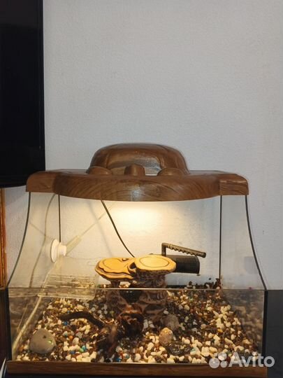 Террариум для черепахи