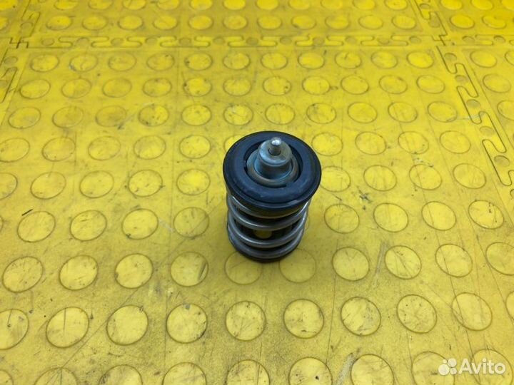 Термостат Skoda Rapid CWV 678727 2019