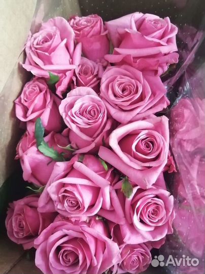 Розы оптом