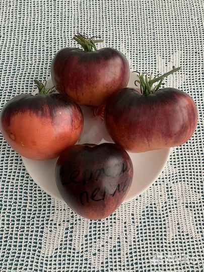 Семена помидоров,семена сортовых томатов