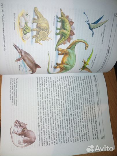 Биология. Общие закономерности. 9 класс. Мамонтов