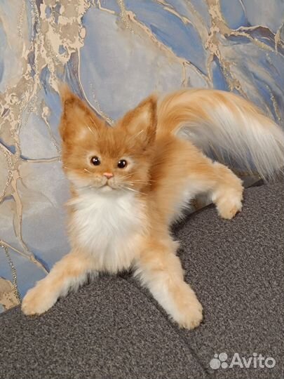 Котята мейн-кун. Мягкая игрушка. Ручная работа