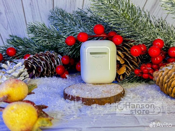 AirPods 2 (Premium, 2024 год)