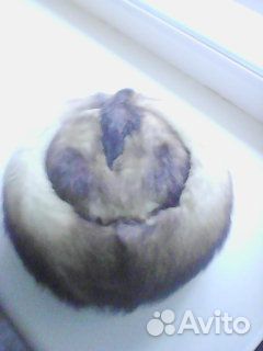 Шапка из натурального меха