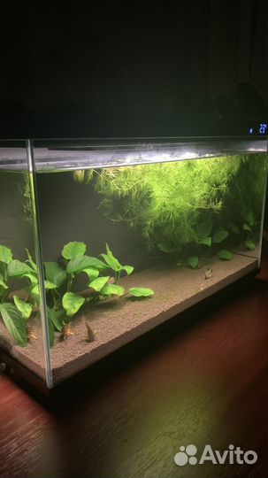 Умный аквариум xiaomi