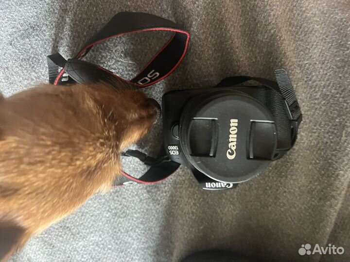 Canon eos 1300d + сумка