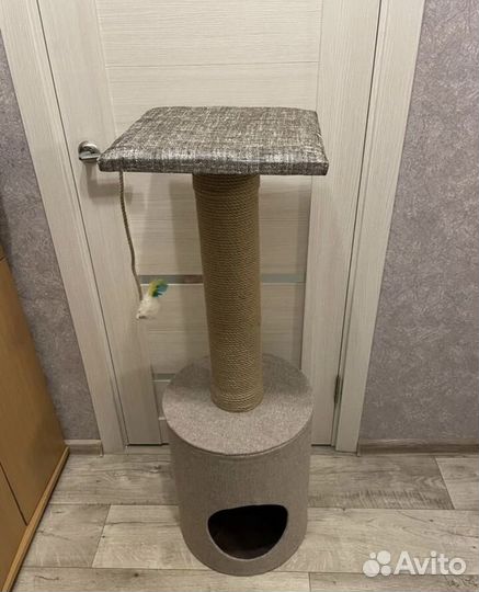 Когтеточка