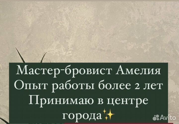 Мастер бровист